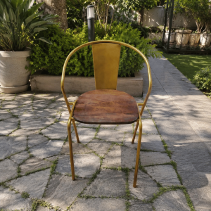 Vintage Gold Metal Accent Chair with Wooden Seat - Round Back Iron Chair